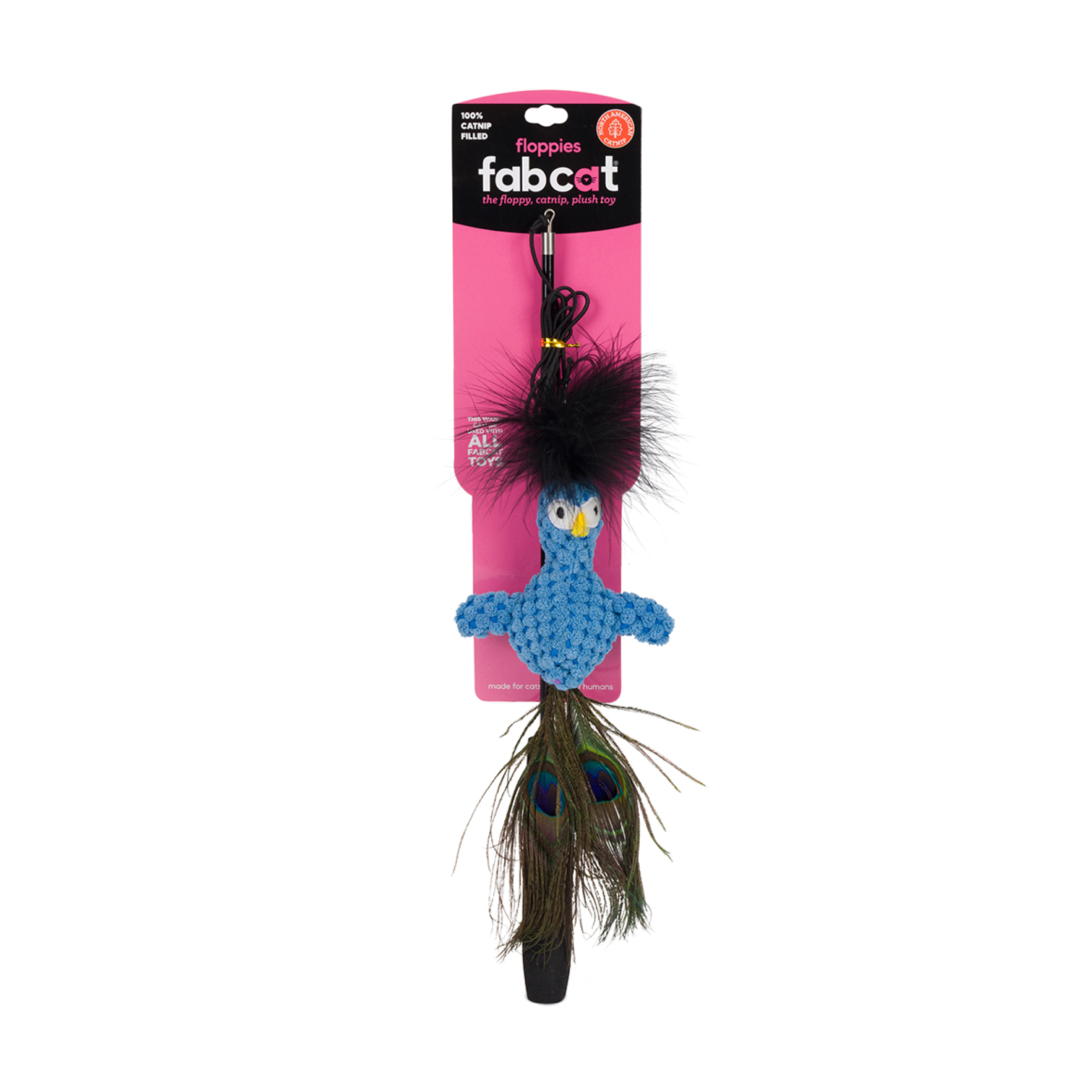 Floppy Peacock Teaser Floppy Peacock Teaser