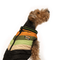 brown dog wearing a black chevron coat for dogs with orange, olive, mint green, pink chevrons 