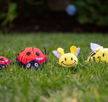 Faballs Are in Bloom!  Fetch Spring-Themed Toys for  your Pet