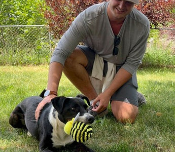 Celebrate Your Paw-some Dog Dad This Father's Day!