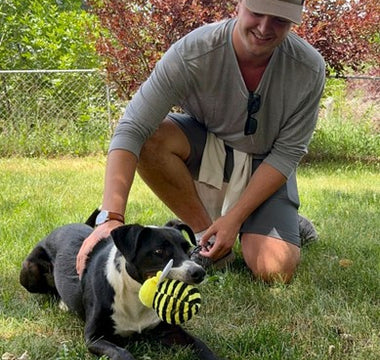 Celebrate Your Paw-some Dog Dad This Father's Day!