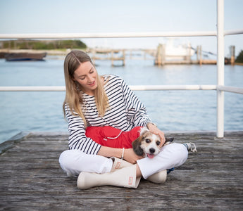 Rainy Day Dog Essentials: Stay Dry, Comfy, & Fab This Spring