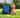 Back-to-School with Pets: Easing the Transition to Fall Routines