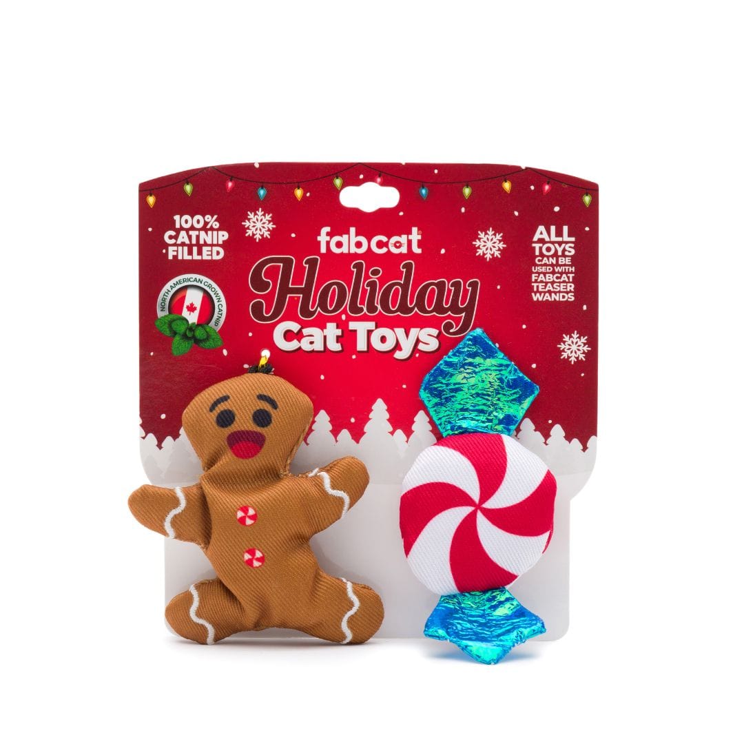 fabdog® Gingerbread/Peppermint 2-Pack Cat Toy Toys