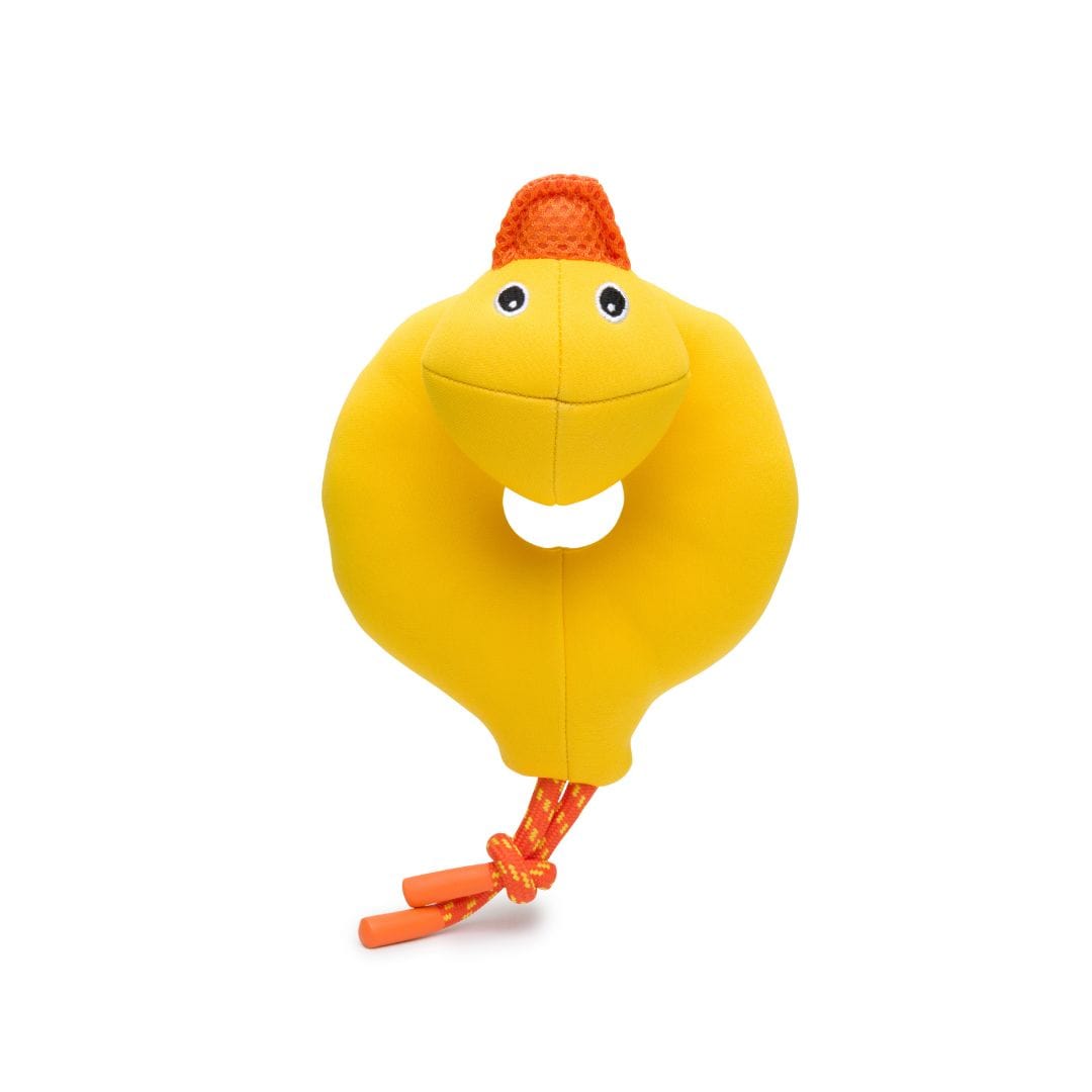 Floatie Duck – Fabdog®