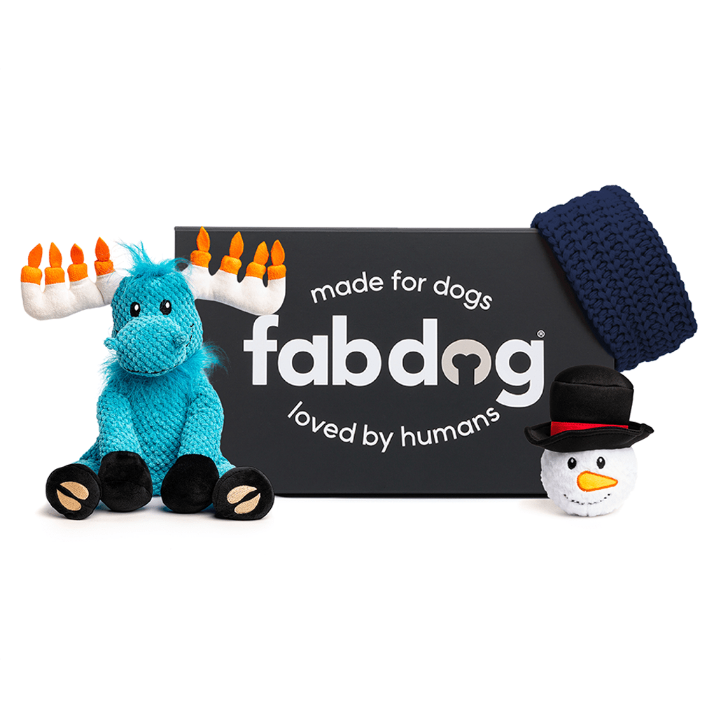 fabdog® Large Dog Hanukkah Gift Box