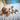 fabdog® Floppy Koala Toys