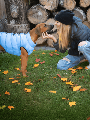 fabdog made for dogs loved by humans