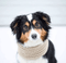 brown, black and white dog wearing an oatmeal infinity scarf