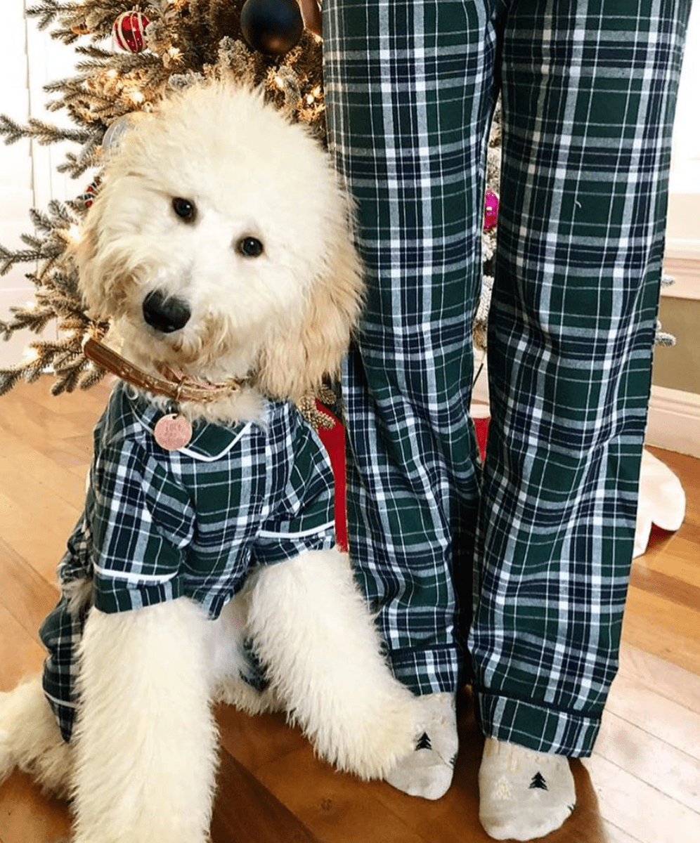 Buffalo Check Fabdog Pajamas Matching Fab Dog Buffalo Check Dog