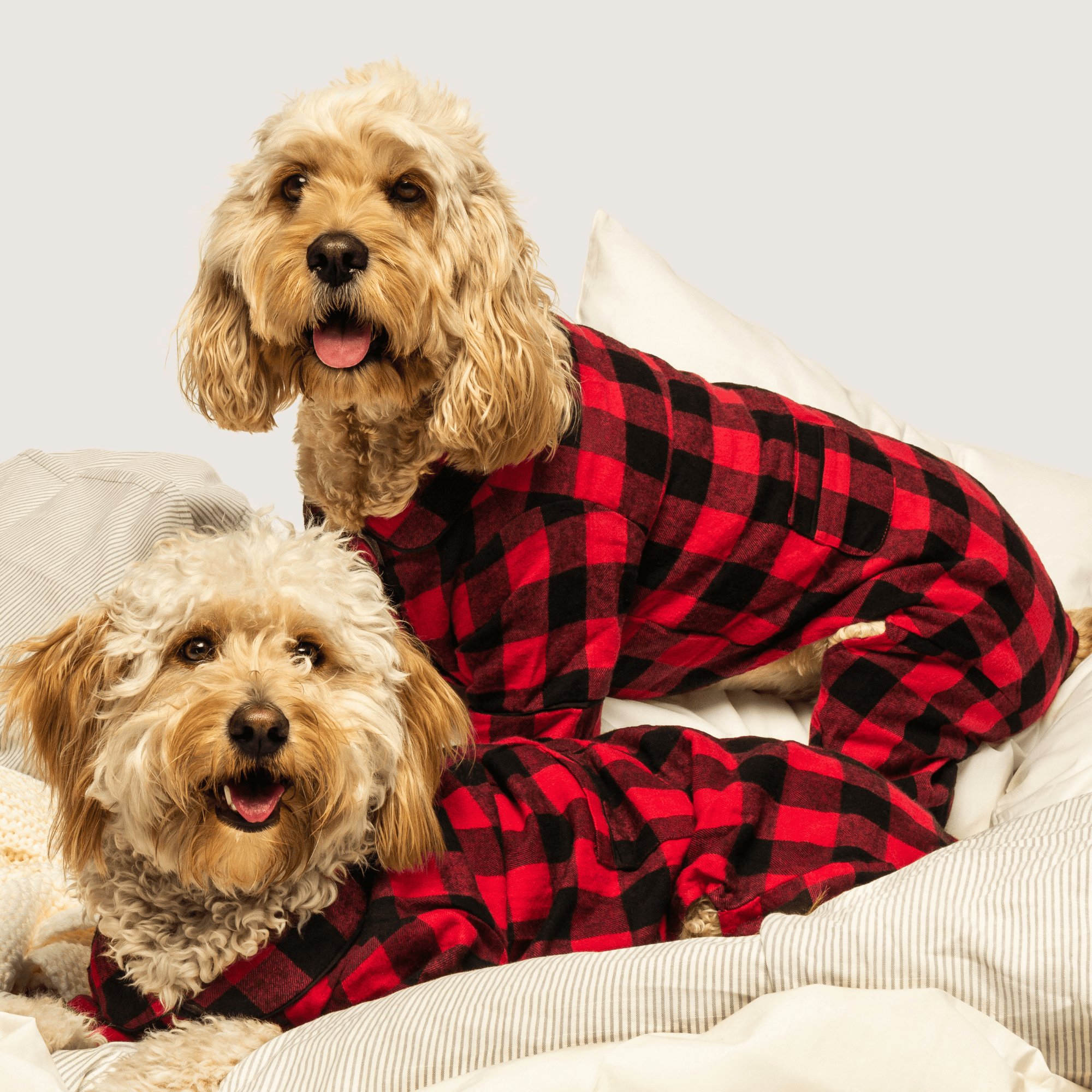 Pajama Custom Red Buffalo Plaid Dog Pajamas Dog Red Plaid Pjs Cute