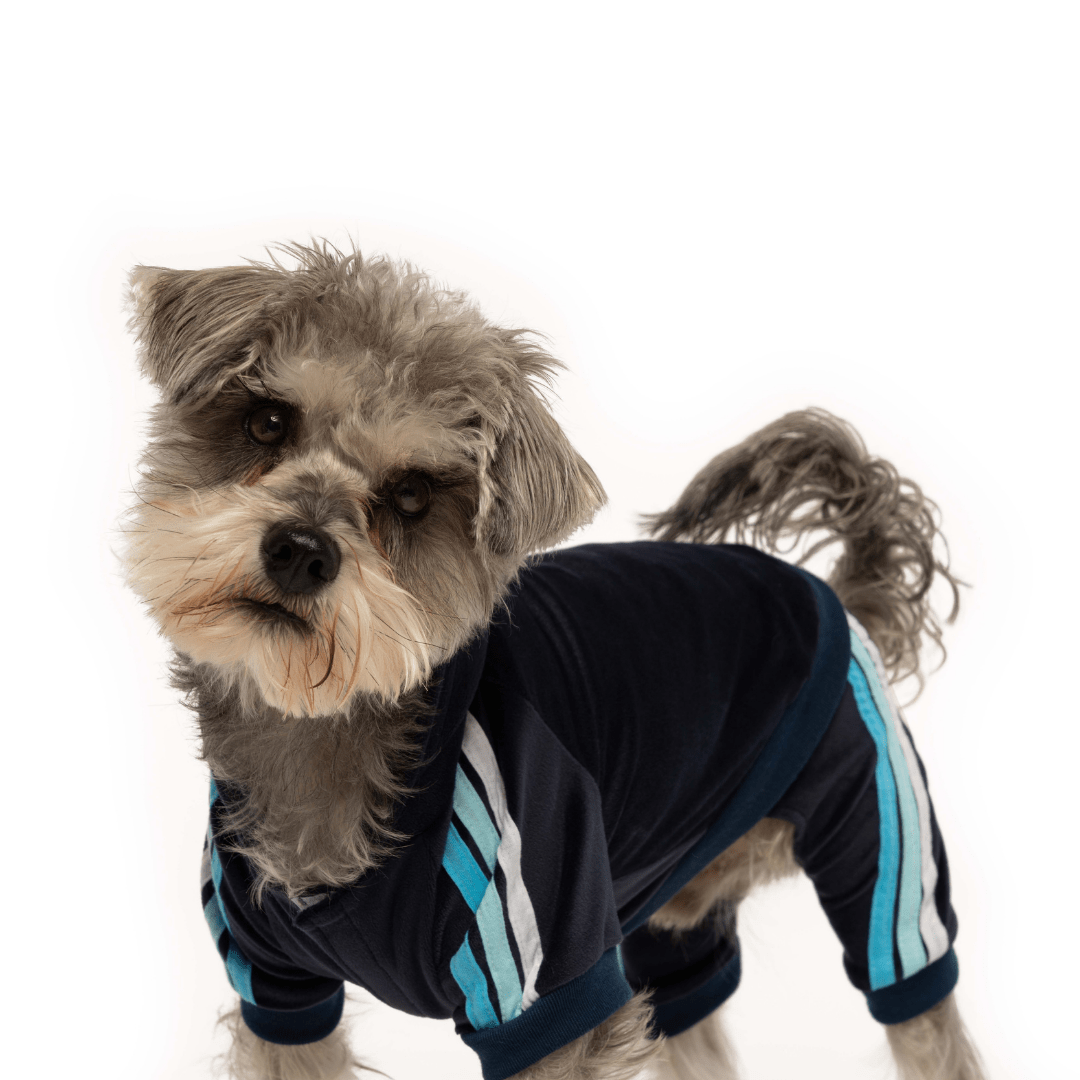 Fab dog pet apparel hot sale