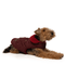 brown dog laying down modeling burgundy quilted shearling coat