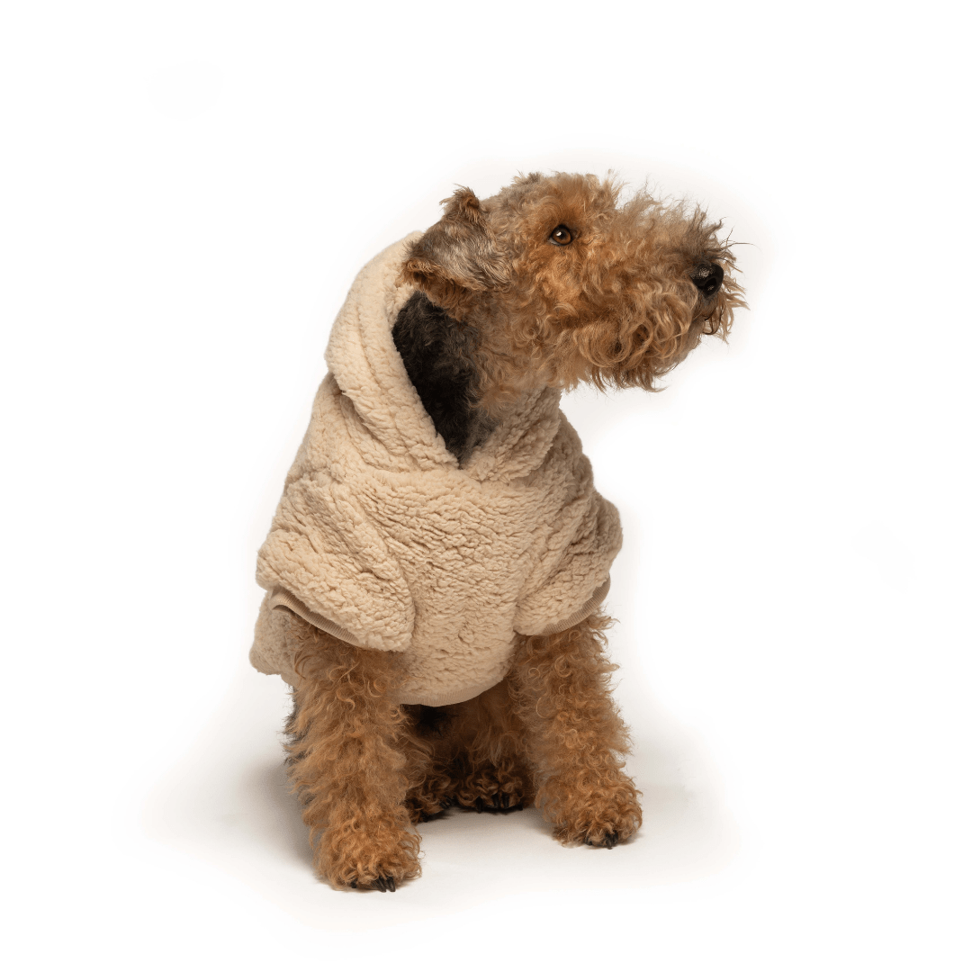 Cream Sherpa Hoodie for Dogs