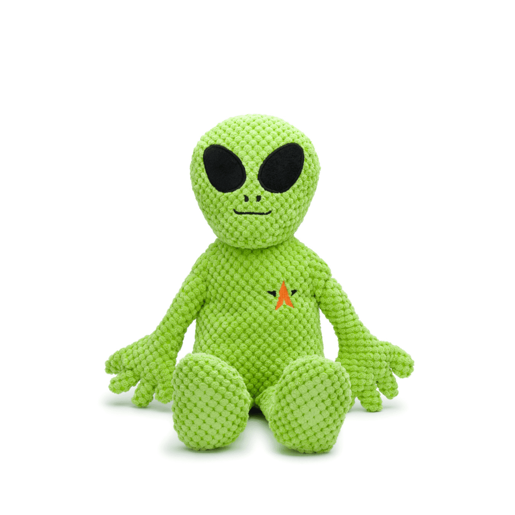 Floppy Alien Dog Toy – fabdog®