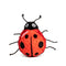 lady bug faball®, orange-red with black spots, black head, antennae, white eyes, six legs